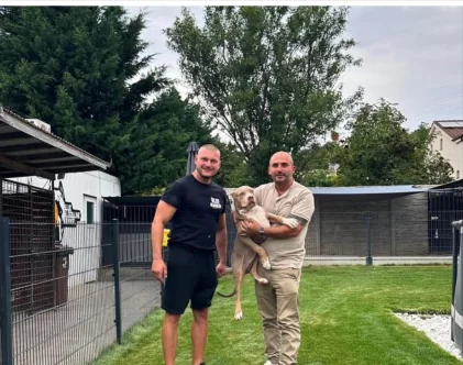 Happy customer with their new puppy from Pocket XL Bullies