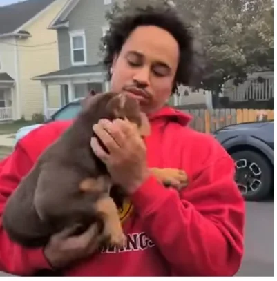 Happy customer with their new puppy from Pocket XL Bullies